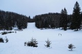 18. Odlična staza za sanjkanje